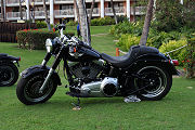 Harley-Davidson 02 