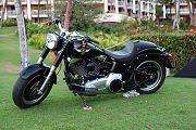 Harley-Davidson 31 